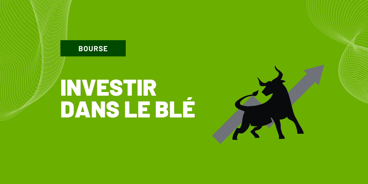 investir dans le ble